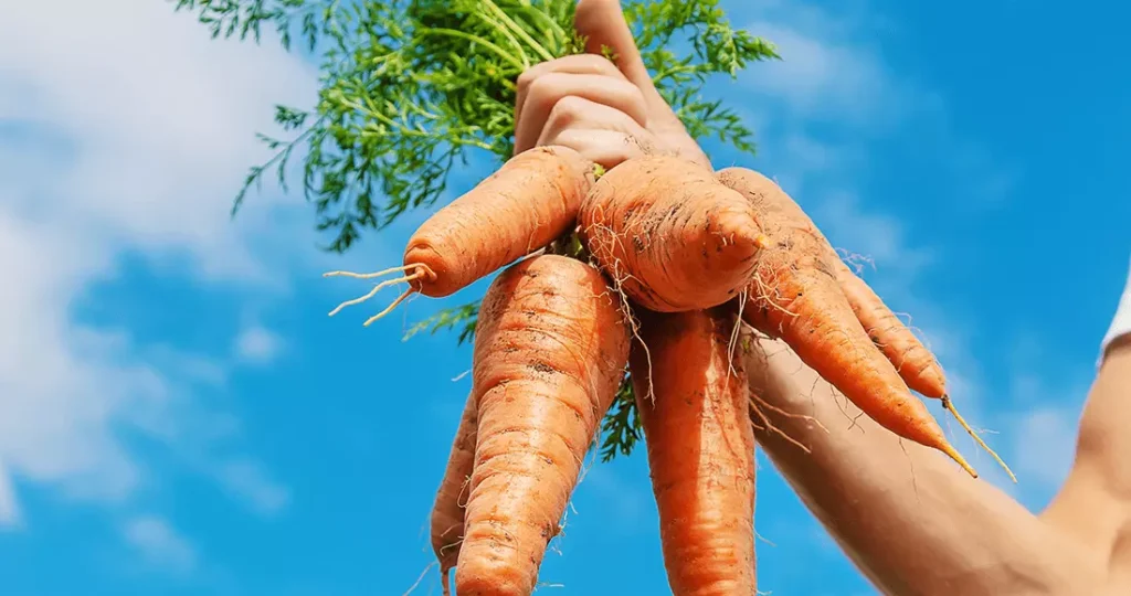 Shutterstock 1673998984 1024x540