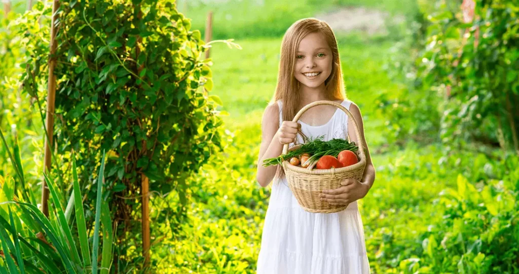 Shutterstock 317102807 1024x540