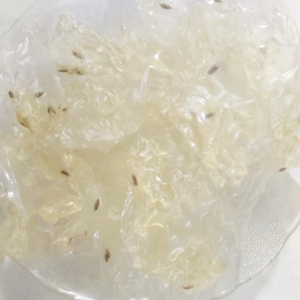 tbs-product-sabudana-papad
